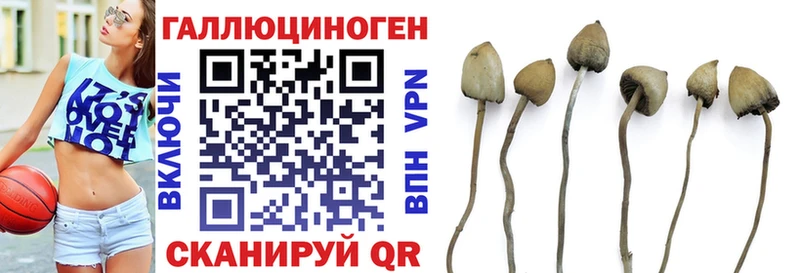 Галлюциногенные грибы прущие грибы  Купить где  Свободный 